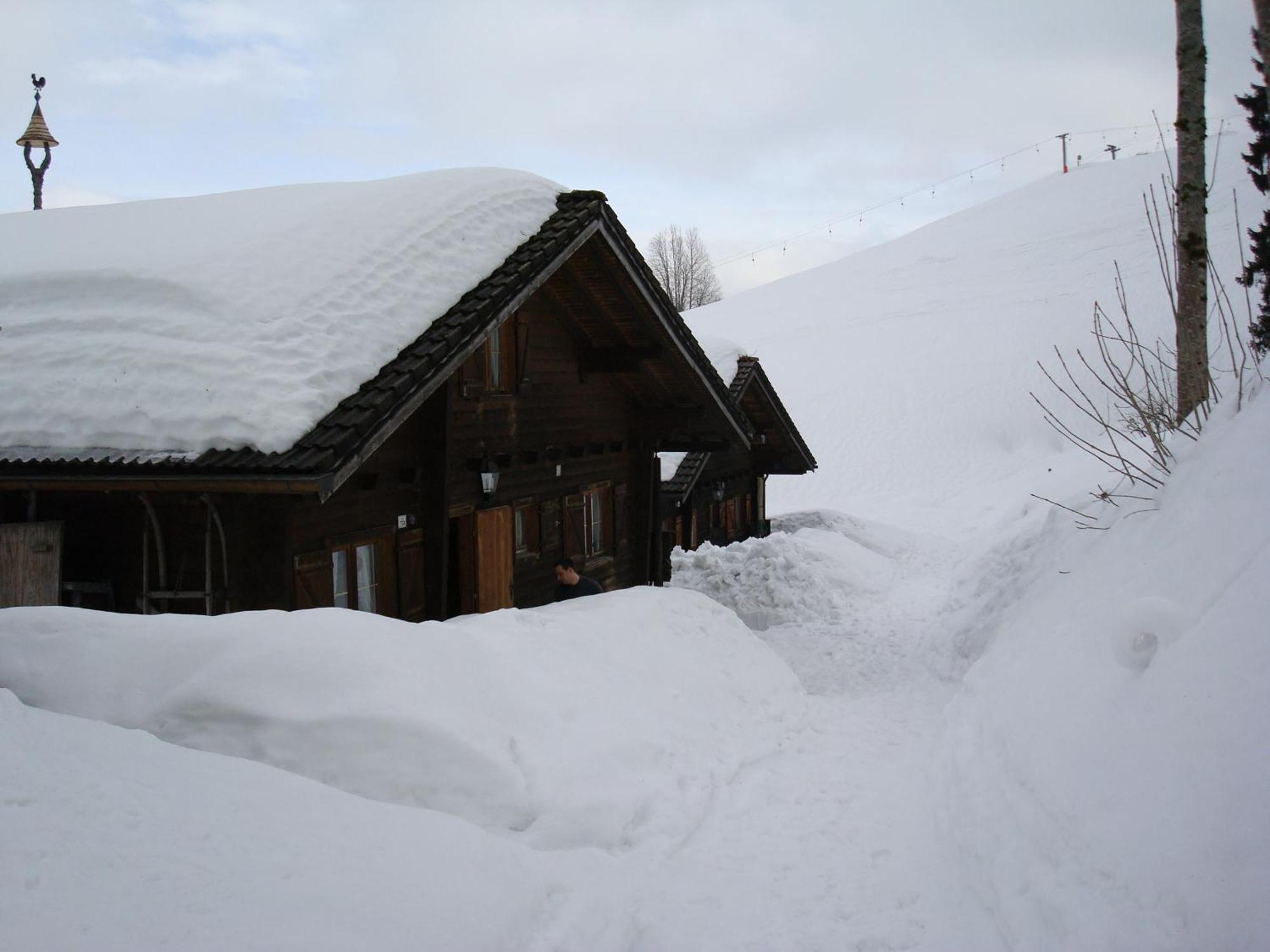 Ferienwohnungen Im Blockhaus Metzler Schwarzenberg im Bregenzerwald Exterior photo